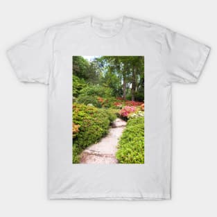 Footpath Through Springtime Forest T-Shirt